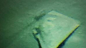 1만m 바닷속에 비닐 쓰레기가 있었다