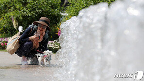 [날씨]15일 낮 초여름 더위…경북 내륙 천둥·번개 소나기