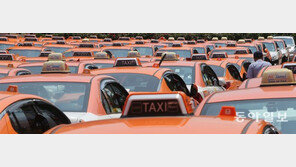 서울광장 인근서 택시기사 분신 사망…‘타다 OUT’ 문구 붙여