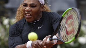세리나, 무릎부상으로 기권…언니 비너스 맞대결 무산