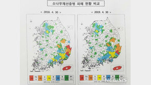소나무 재선충병 발생 감소세…올해 전년 대비 29%↓