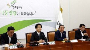 평화당 ‘의원수 확대’ 주장 일단 제동