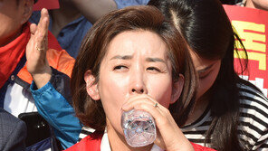 北 매체, 나경원 맹비난 “달창 뜻 몰랐다? 궤변”