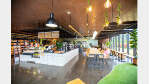 카카오 제주도에 프렌즈 스토어 오픈