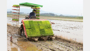 CJ프레시웨이, 쌀 농가 위해 계약재배 확대