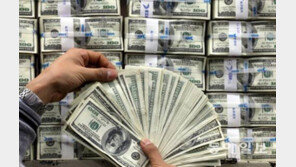 몸값 비싸지는 달러, 투자 베테랑들이 알려주는 ‘환테크 비법’