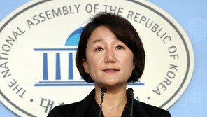 민주 “나경원, 일베 즐겨찾기 그만”…한국 “극우몰이 중단하라”