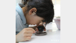 “이건 무슨 꽃이에요?” 자녀의 깜짝 질문에 효과적으로 답변하기 위해서는…