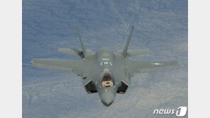 새에 KO 당한 F-35 신예 스텔스기…수리비만 24억