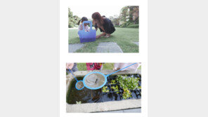 [내가 왜 떴게?] 다음엔 허리통증?…박솔미, 무릎통증