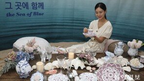 “덴마크 왕실 도자기 왔어요”