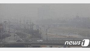 “공기가 탁하네요, 조심하세요” 국민 10명 중 9명, 미세먼지 정보 매일 확인
