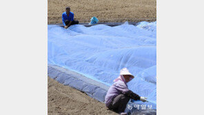 농사 준비로 분주한 들녘