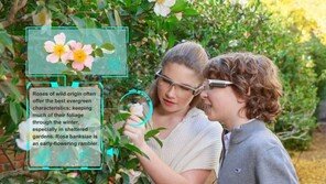 ‘삼성 AR글라스’ 나올까…美 디지렌즈에 5000만달러 투자