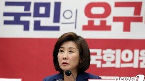 나경원 “원포인트 개헌논의 어려워…대선 출마 안 해”