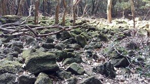 제주도, 유네스코 세계지질공원 ‘재인증’ 성공