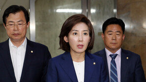 나경원 “개헌논의 어렵다…대선출마 안 할 것”