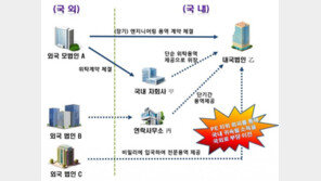 사업장 쪼개기부터 변칙거래까지 등장…기상천외 역외탈세 수법
