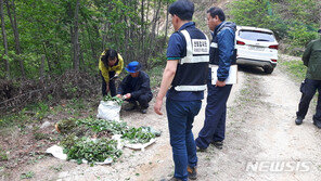 10년來 독초 섭취로 251명 병원신세…봄철에 빈번