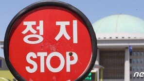 일하는 국회 만든다더니…올해 법안처리, 작년의 4분의1 수준