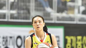 신한은행, 베테랑 한채진 영입