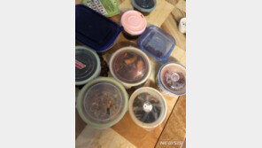  ‘아내 폭행 사망’ 유승현의 블로그 ‘반찬 놓고 슝~’