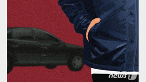 “너무 낯익은데” 경찰에 덜미잡힌 상습 차털이 10대들