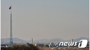 北 매체, 韓美 정상회담 발표 이후 대남 비난 자제…동향 살피기?