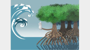 보잘것 없어 보이는 ‘맹그로브 숲’, 인류에겐 없어서 안되는 삶의 터전이라는데… 