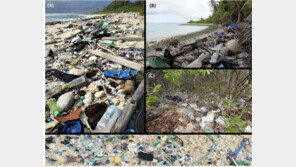 인도양 코코스섬에서 4억1400만개의 플라스틱 쓰레기 발견