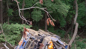 강원 고성 야산서 크레인 작업하다 20m아래 추락…중태