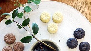 [고양이 눈]눈으로만 맛볼게요