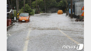 제주 교래리에 405.5㎜ 폭우…항공기 91편 지연운항
