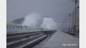 제주 한라산 482㎜·서귀포 466㎜ 폭우…항공기 113편 지연 운항