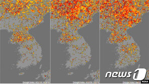 최악 가뭄 北 “우물·비료도 적극 이용…피해 막아라” 총력
