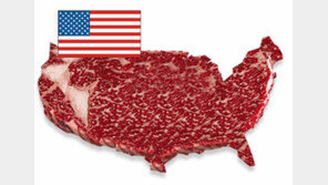 日 “광우병 문제 없다”…미국산 쇠고기 수입 제재 16년만에 철폐 