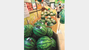 이른 더위에 에어컨-수박 등 여름상품 불티