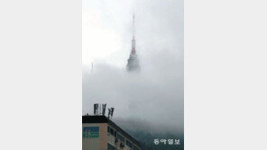 [고양이 눈]안개도 휴