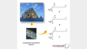독도 주변 퇴적토서 ‘항암효과’ 해양미생물 발견…‘독도리피드’ 명명