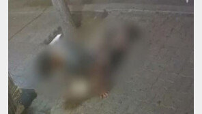 동물단체 “수간 피해 이천 강아지, 배변활동 못해…엄정수사 촉구”