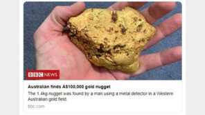 호주 남성 “금속탐지기로 8000만원 짜리 금 찾았어요”