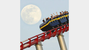 [고양이 눈]손 뻗으면 닿을라