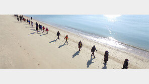 [지금 내 고향에선]‘청정의 섬’ 완도, 해양치유산업 메카로 만든다