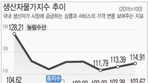 축산물·휘발유값 ‘껑충’…생산자물가 3개월째 상승