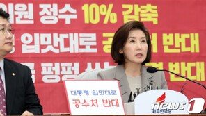 나경원 “대한민국, 신독재 위한 마지막 단계 거치는 중”