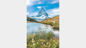 대자연 속에서 만끽하는 ‘소확행’… 전세기 타고 스위스 여행 떠나요!