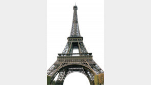 노팁-노옵션-노쇼핑 원한다면… ‘프리미엄 패키지 상품’ 어떠세요?