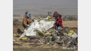 “보잉 737 맥스 추락원인 ‘버드스트라이크’ 가능성 재부상” WSJ