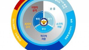 “‘대림동 여경’ 재발시 테이저건 사용하라”…공권력 행사 규정