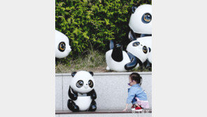 [고양이 눈]시선 고정, 한눈 안 판다